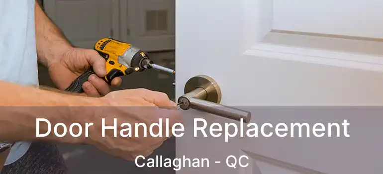 Door Handle Replacement Callaghan - QC