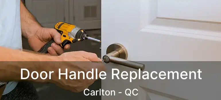  Door Handle Replacement Carlton - QC