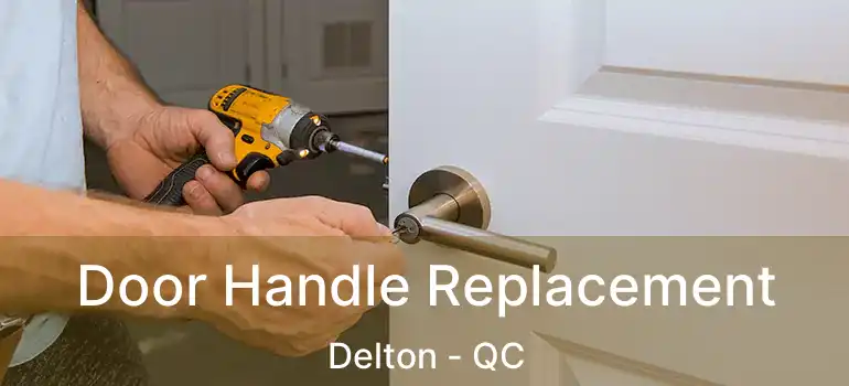  Door Handle Replacement Delton - QC
