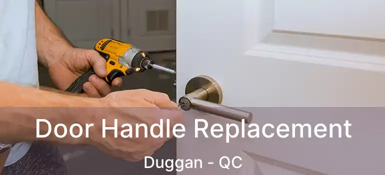  Door Handle Replacement Duggan - QC