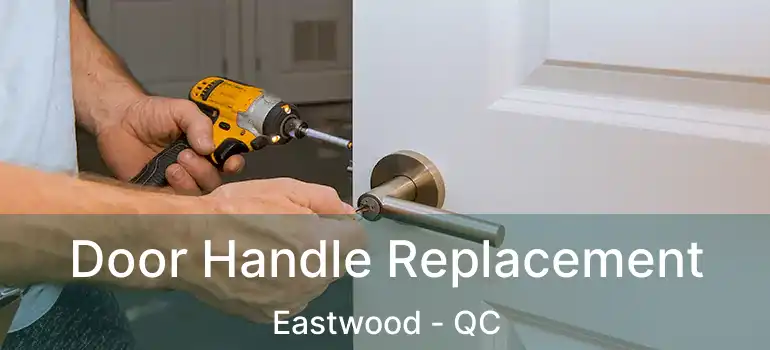  Door Handle Replacement Eastwood - QC