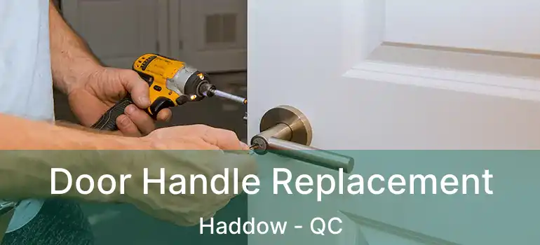  Door Handle Replacement Haddow - QC