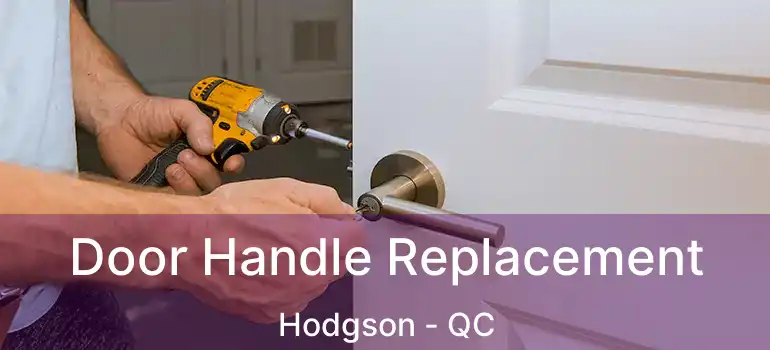 Door Handle Replacement Hodgson - QC