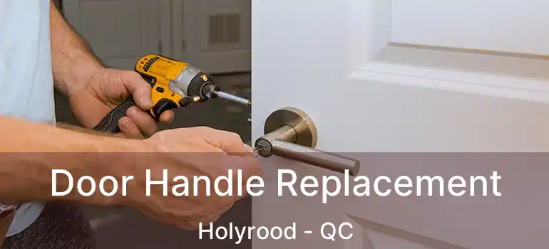  Door Handle Replacement Holyrood - QC