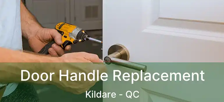  Door Handle Replacement Kildare - QC
