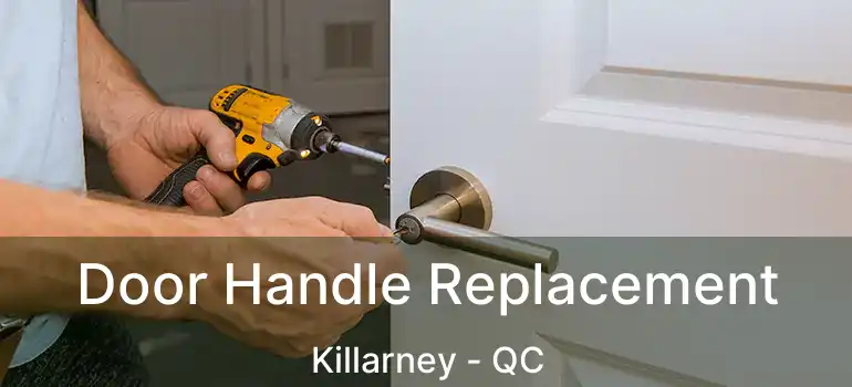  Door Handle Replacement Killarney - QC