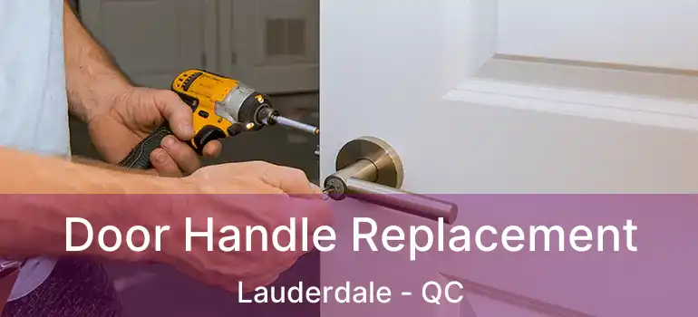  Door Handle Replacement Lauderdale - QC