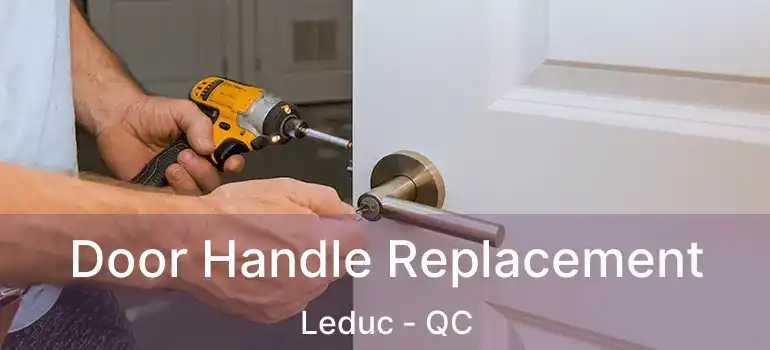  Door Handle Replacement Leduc - QC