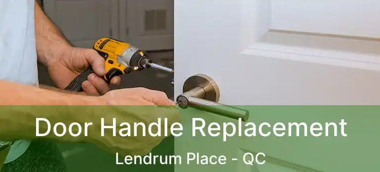  Door Handle Replacement Lendrum Place - QC