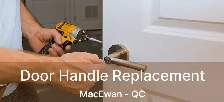  Door Handle Replacement MacEwan - QC