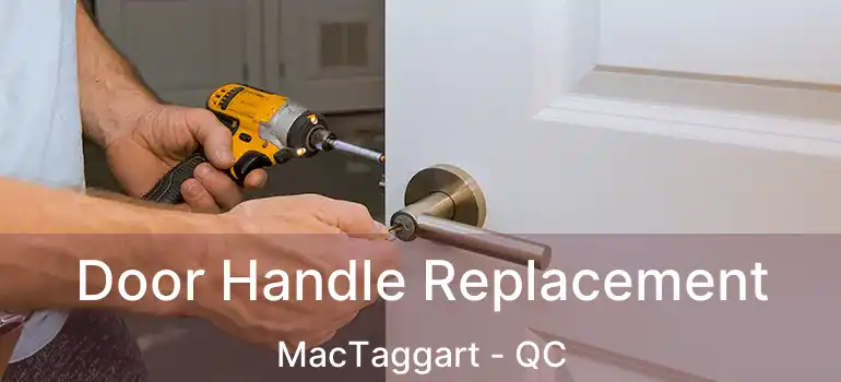  Door Handle Replacement MacTaggart - QC