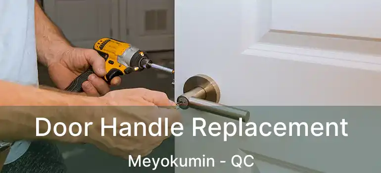  Door Handle Replacement Meyokumin - QC