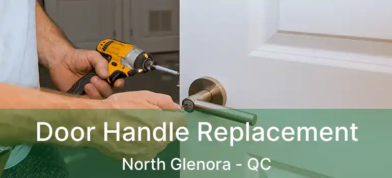  Door Handle Replacement North Glenora - QC