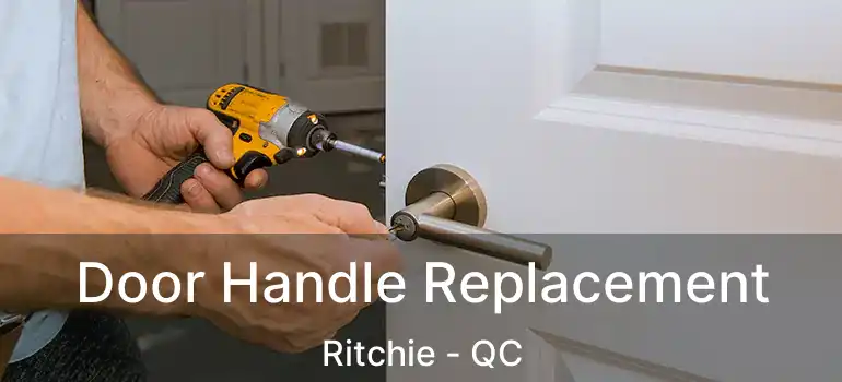  Door Handle Replacement Ritchie - QC