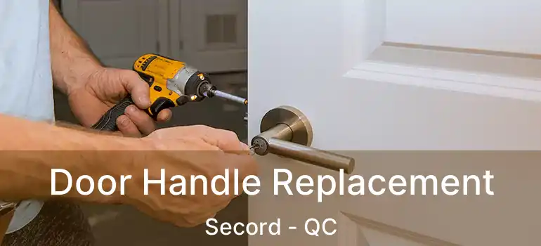  Door Handle Replacement Secord - QC