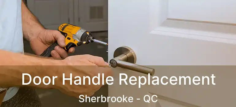  Door Handle Replacement Sherbrooke - QC