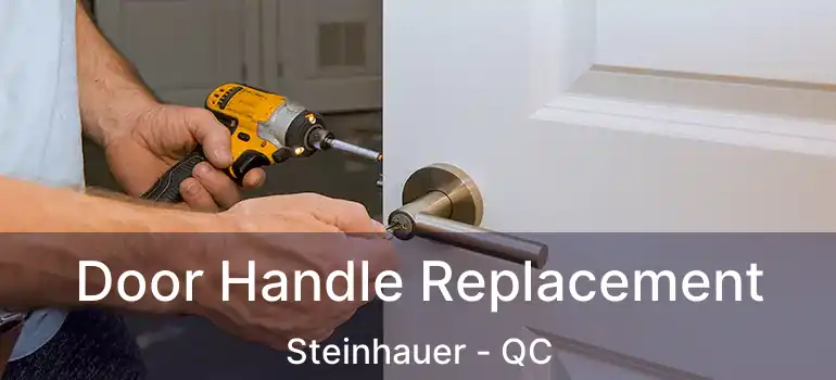  Door Handle Replacement Steinhauer - QC