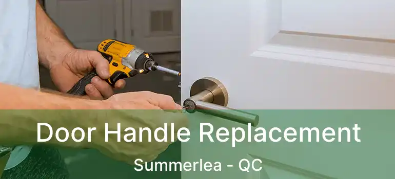  Door Handle Replacement Summerlea - QC