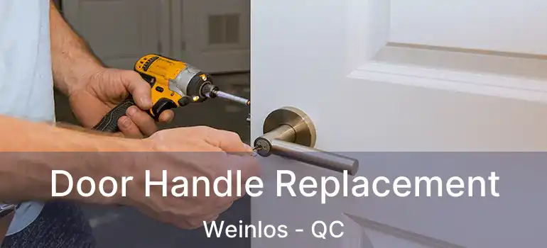  Door Handle Replacement Weinlos - QC