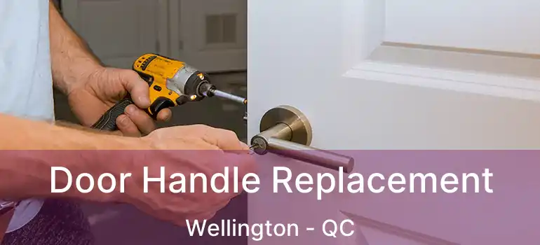  Door Handle Replacement Wellington - QC