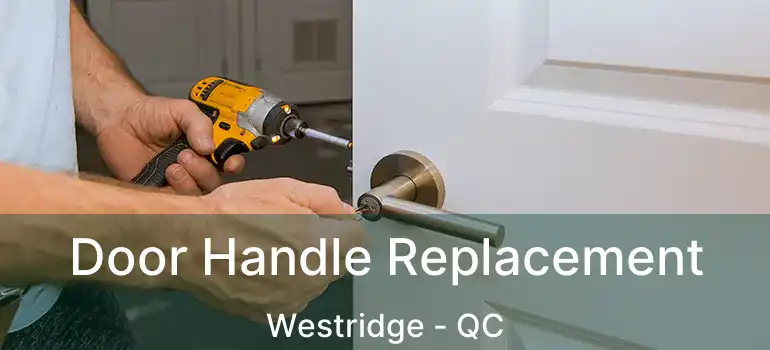  Door Handle Replacement Westridge - QC