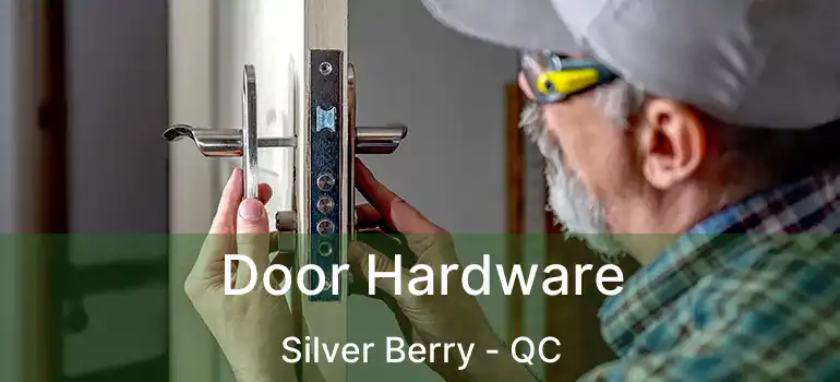  Door Hardware Silver Berry - QC