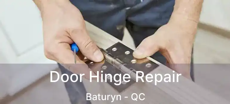  Door Hinge Repair Baturyn - QC