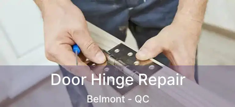  Door Hinge Repair Belmont - QC