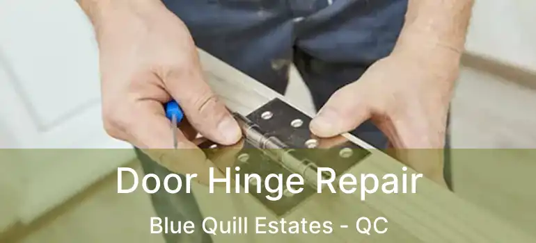  Door Hinge Repair Blue Quill Estates - QC
