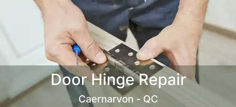  Door Hinge Repair Caernarvon - QC