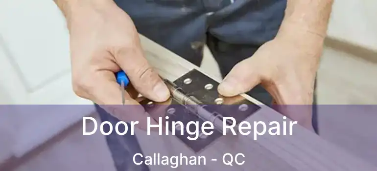  Door Hinge Repair Callaghan - QC
