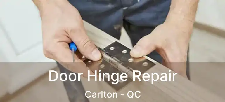  Door Hinge Repair Carlton - QC