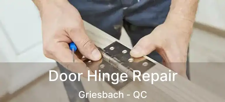  Door Hinge Repair Griesbach - QC