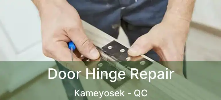  Door Hinge Repair Kameyosek - QC