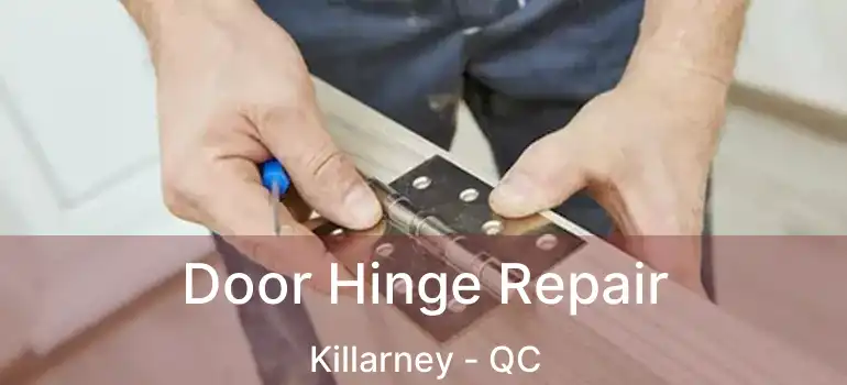  Door Hinge Repair Killarney - QC