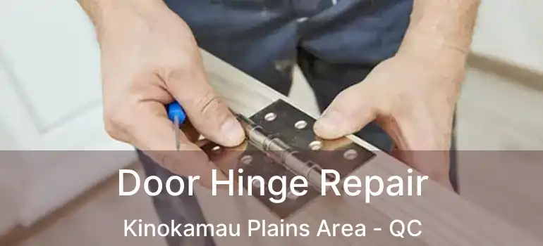  Door Hinge Repair Kinokamau Plains Area - QC