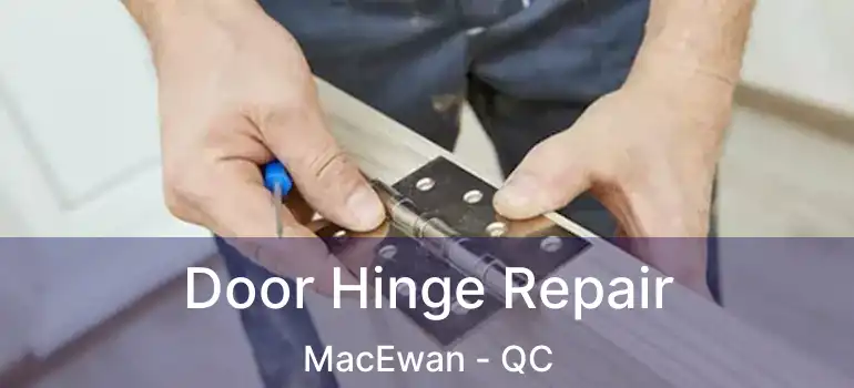  Door Hinge Repair MacEwan - QC