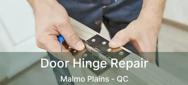  Door Hinge Repair Malmo Plains - QC