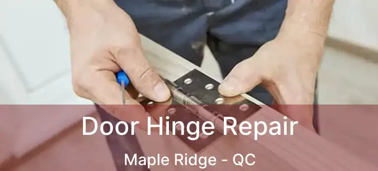  Door Hinge Repair Maple Ridge - QC