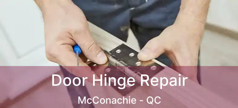  Door Hinge Repair McConachie - QC