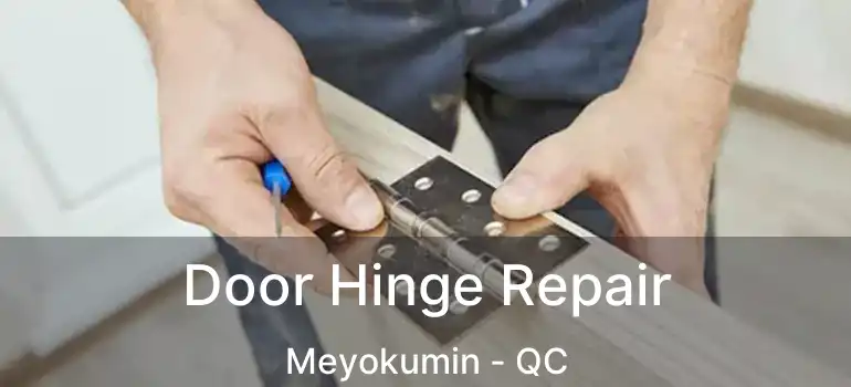  Door Hinge Repair Meyokumin - QC