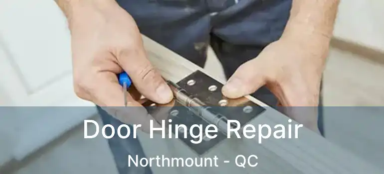  Door Hinge Repair Northmount - QC