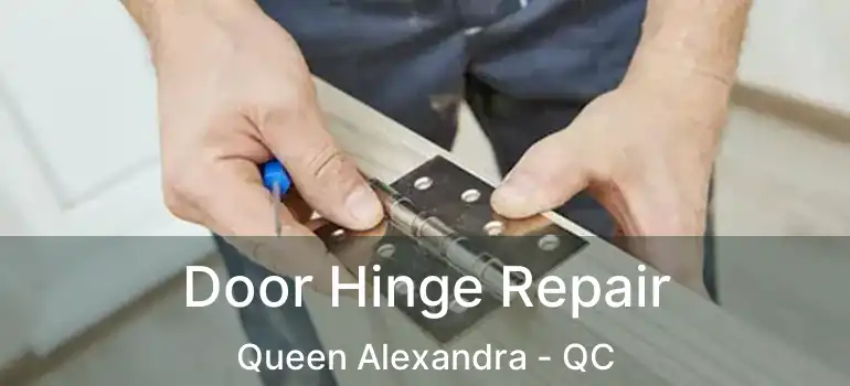  Door Hinge Repair Queen Alexandra - QC