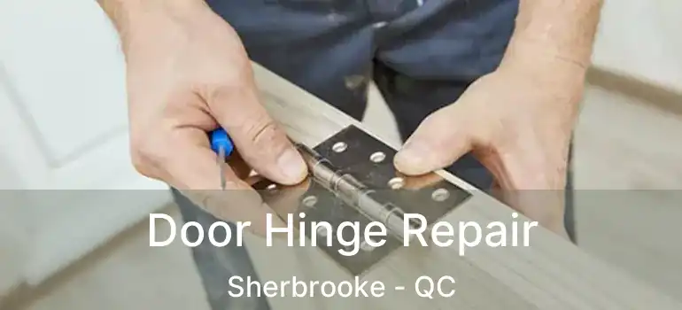  Door Hinge Repair Sherbrooke - QC