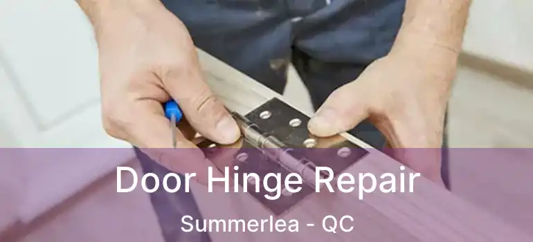  Door Hinge Repair Summerlea - QC