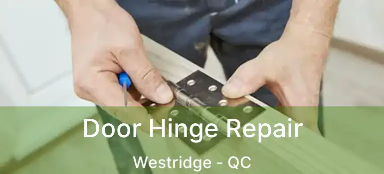  Door Hinge Repair Westridge - QC