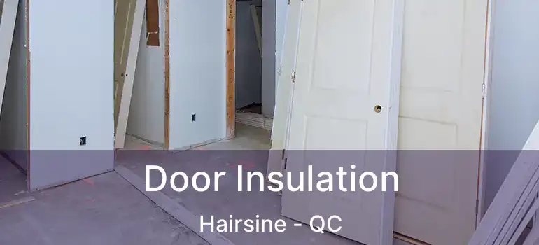  Door Insulation Hairsine - QC