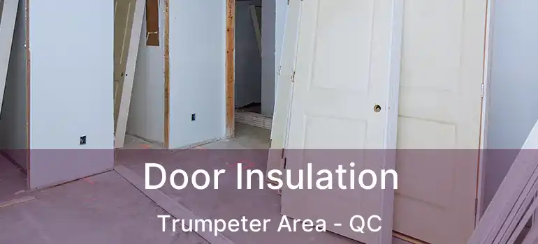  Door Insulation Trumpeter Area - QC