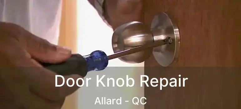  Door Knob Repair Allard - QC