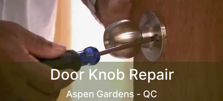  Door Knob Repair Aspen Gardens - QC